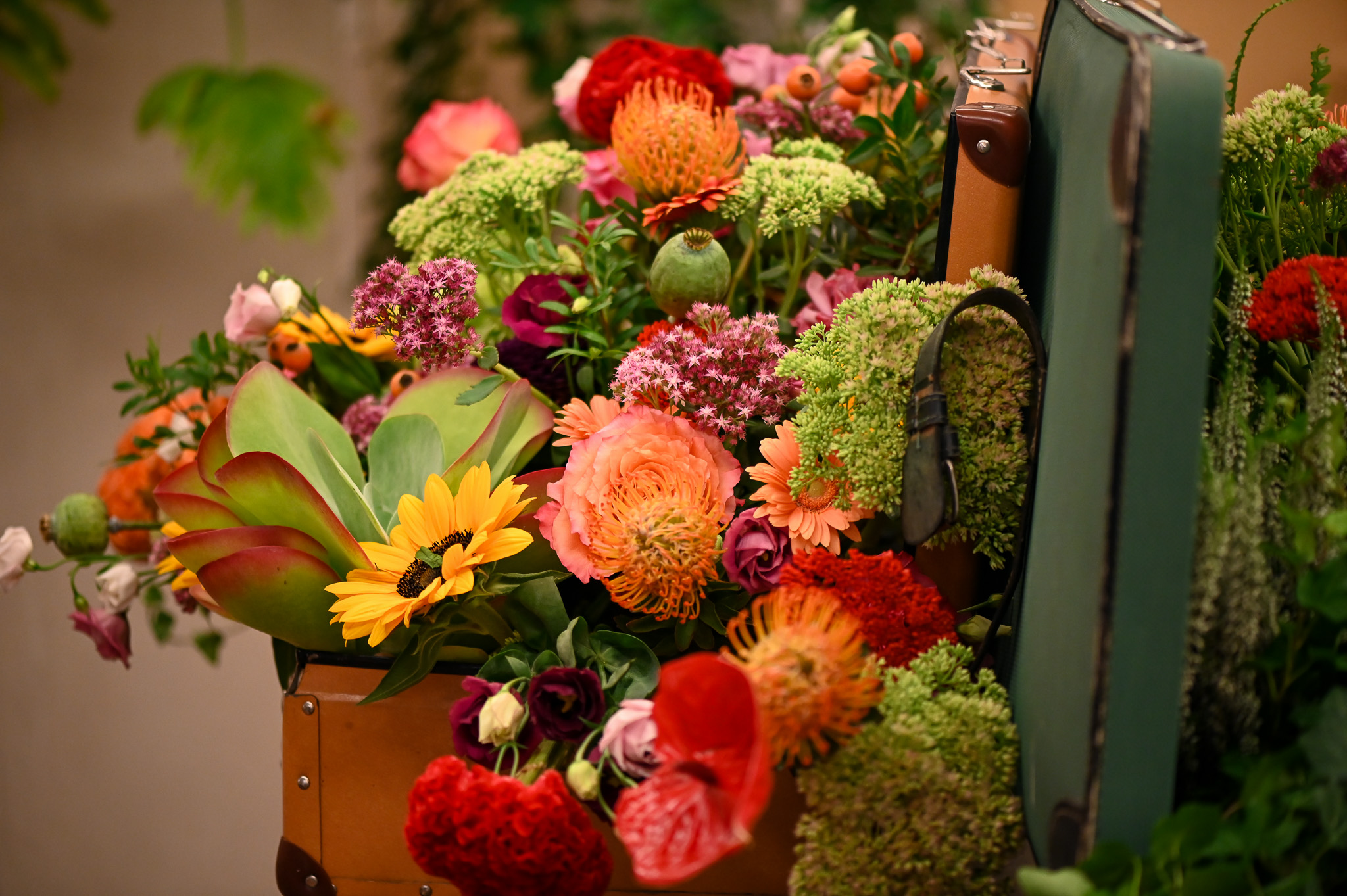 Un viaggio iniziato 47 anni fa!