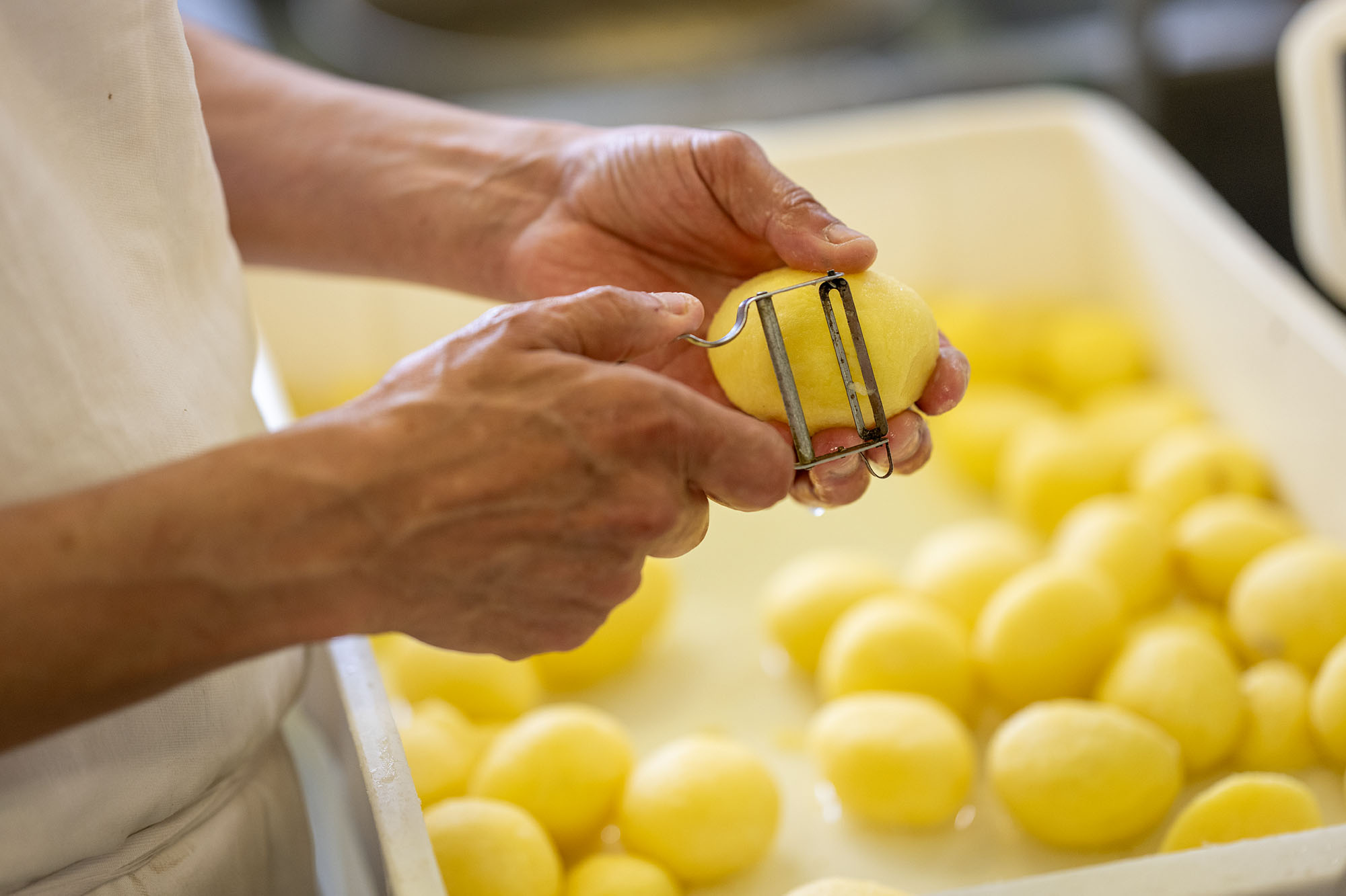 Commis di cucina