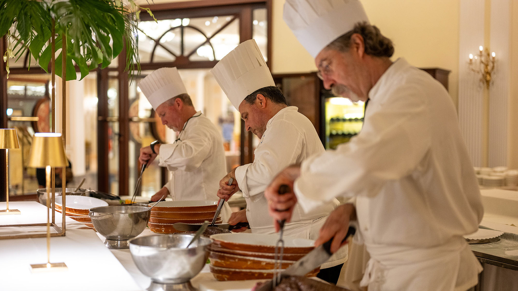 z8sh art img 105-gd8 0929